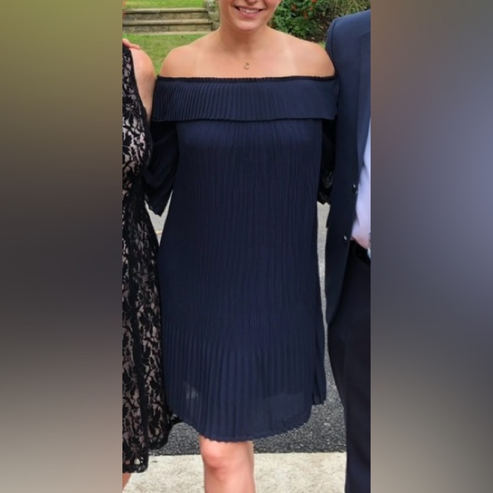 Ted Baker Navy Blue Women's Dress